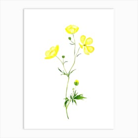 Watercolor Yellow Flowers Art Print