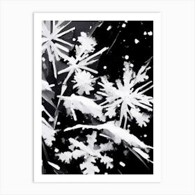 Fragile, Snowflakes, Black & White 4 Art Print