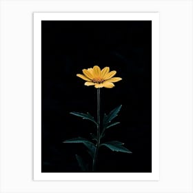 Single Yellow Flower 35 Art Print