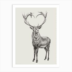 Deer With Heart Shaped Antlers Art Print