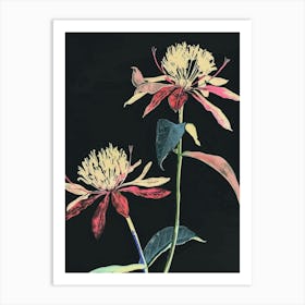 Neon Flowers On Black Globe Amaranth 3 Art Print