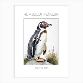 Humboldt Penguin Signy Island Watercolour Painting 4 Poster Art Print