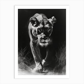 African Lion Charcoal Drawing Lioness On The Prowl 4 Art Print