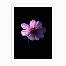 Purple Flower On Black Background 1 Art Print