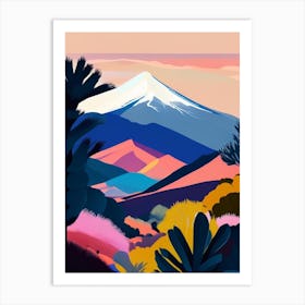 Teide National Park Spain Pop Matisse Art Print