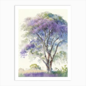 Atherton Tableland S Curtain 2, Fig Tree, Australia Pastel Watercolour Art Print