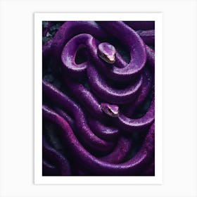 Purple Snake 1 Art Print