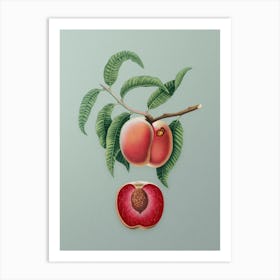 Vintage Carrot Peach Botanical Art on Mint Green n.0795 Art Print