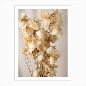 Boho Dried Flowers Sweet Pea 3 Art Print