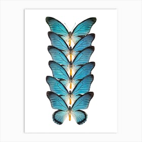Row Of Blue Butterflies Art Print