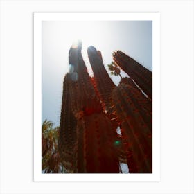 Morocco Cactus Travel Print 1 Art Print