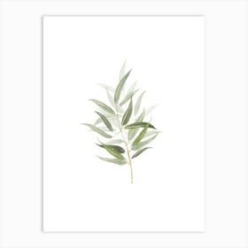 Watercolor Botanical Art 01 Art Print