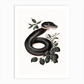 Black Snake Vintage Art Print
