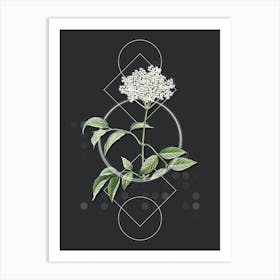 Vintage Elderflower Tree Botanical with Geometric Line Motif and Dot Pattern Art Print