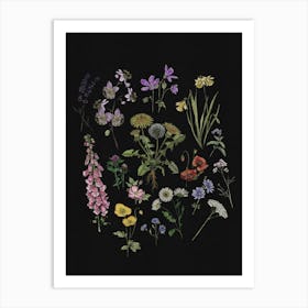 Cottage Garden Wildflower Illustration Art Print Art Print