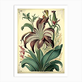 Lily Floral 1 Botanical Vintage Poster Art Print