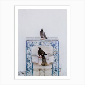 Pigeons looking for refreshment in Lisbon Art Print