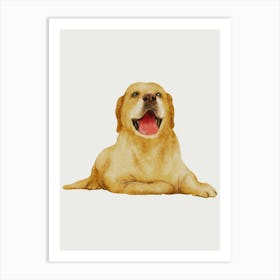 Golden Retriever Dog Art Print