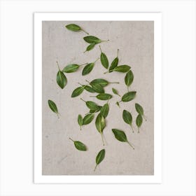 Scattered Protea Leaves Art Print