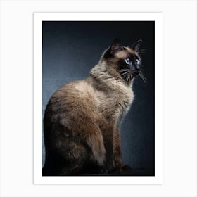 Siamese Cat 1 Art Print