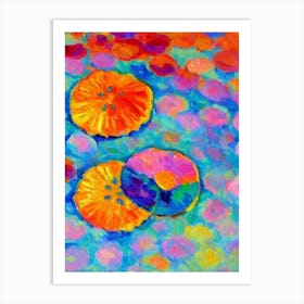 Sand Dollar Matisse Inspired Art Print