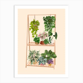 Plant Shelf 10 Art Print