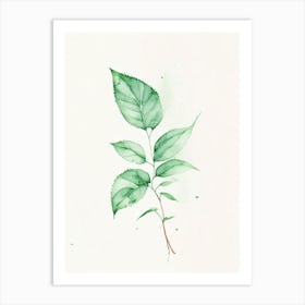 Peppermint Leaf Minimalist Watercolour 1 Art Print