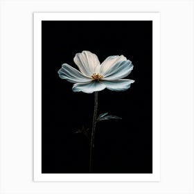 White Cosmos Flower 1 Art Print