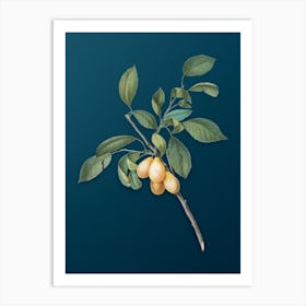 Vintage Plum Botanical Art on Teal Blue Art Print