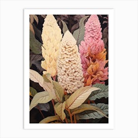 Flower Illustration Celosia 1 Art Print