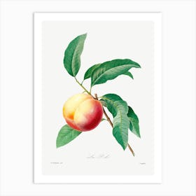 Peach Fruit On A Branch, Pierre Joseph Redoute Art Print