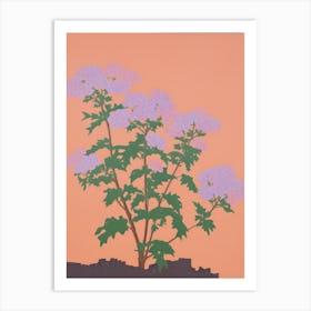 Statice Flower Big Bold Illustration 1 Art Print