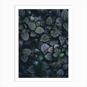 Dark Green Leaves Art Print