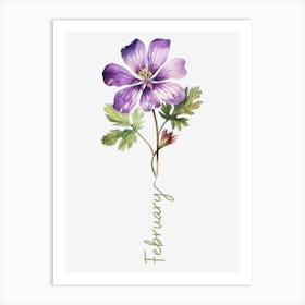 February Birth Flower Birth Month Botanical Art Print