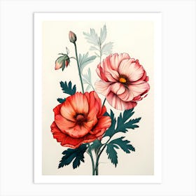 Two Red Poppies Art Print