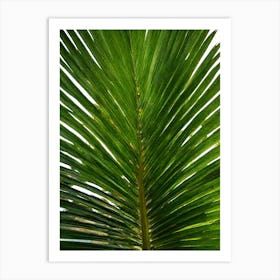 Palm Leaf Art Print