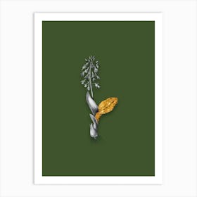 Vintage Brown Widelip Orchid Black and White Gold Leaf Floral Art on Olive Green Art Print