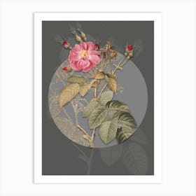 Vintage Botanical Harsh Downy Rose on Circle Gray on Gray n.0291 Art Print