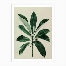 Green Plant Art Print