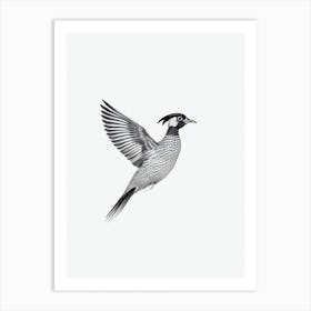Pheasant B&W Pencil Drawing 3 Bird Art Print