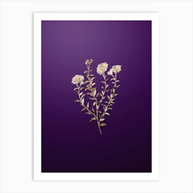 Gold Botanical Dr. Gills Selago Flower on Royal Purple n.2037 Art Print