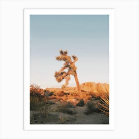 Sunrise On Joshua Tree Art Print