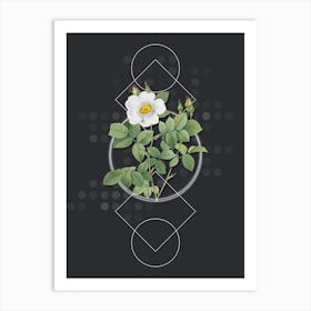 Vintage Twin Flowered White Rose Botanical with Geometric Line Motif and Dot Pattern n.0115 Art Print