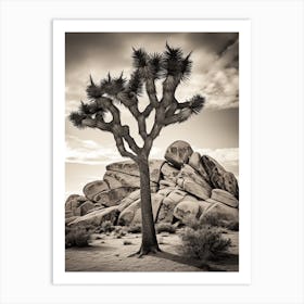 Joshua Tree In Mountain Foothill In South Western Style (1) Art Print