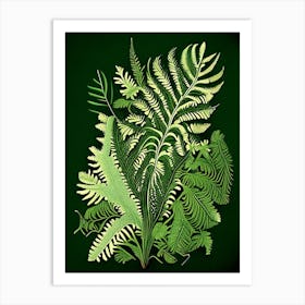 Lady Fern 5 Vintage Botanical Poster Art Print