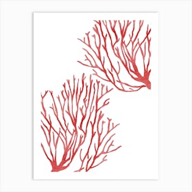 Red Coral Art Print