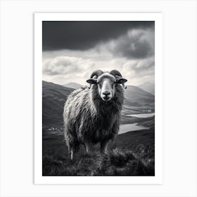 Stormy Black & White Illustration Of Highland Sheep 1 Art Print