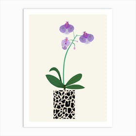 Orchids Art Print