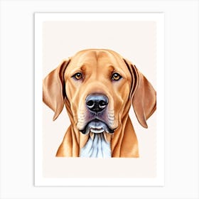 Weimaraner Illustration Dog Art Print