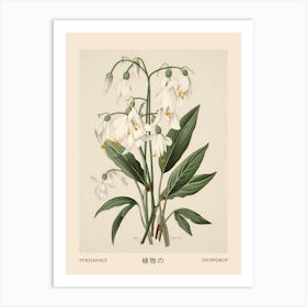 Yukiyanagi Snowdrop 2 Vintage Japanese Botanical Poster Art Print